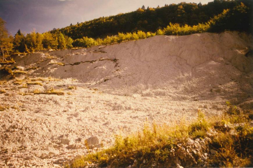 Blick auf eine helle Abrisskante und links sich ausbreitende Rutschmassen. Oberhalb der Kante ist ein höher verlaufender bewaldeter Berghang erkennbar. 