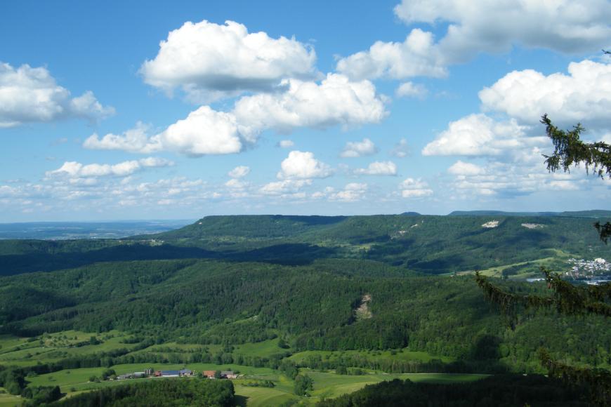 Blick von erhöhtem Standort über eine bewaldete, bergige Landschaft mit einzelnen Grünflächen. Der Bergrücken im Hintergrund bildet eine große Stufe.
