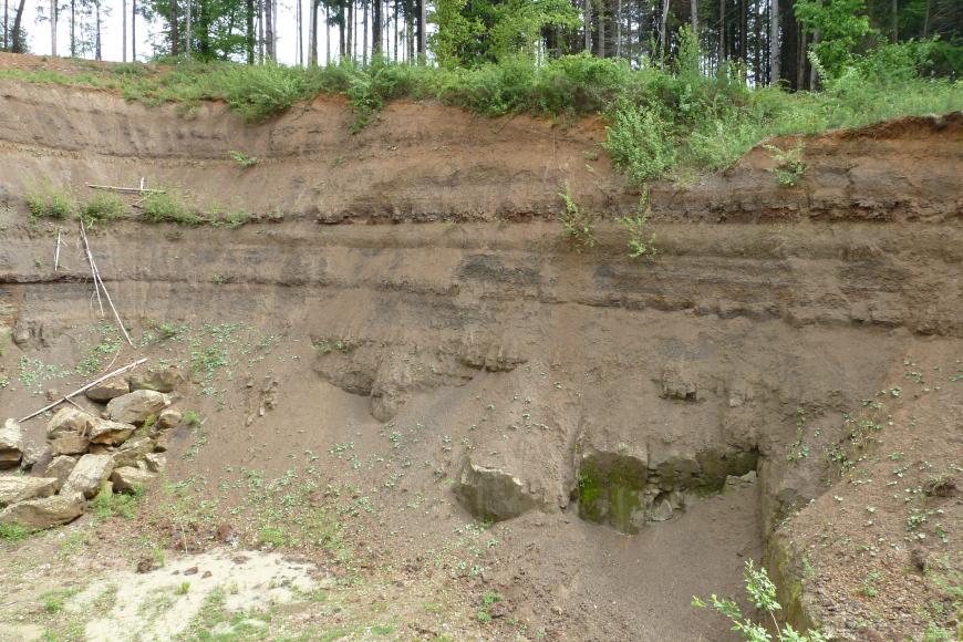 Blick auf eine links abknickende Steinbruchwand. Das hellbraune Gesteins- und Erdmaterial zeigt unterhalb der begrünten Kuppe mehrere waagrecht verlaufende Streifen. Links liegen einige losgelöste Steine.