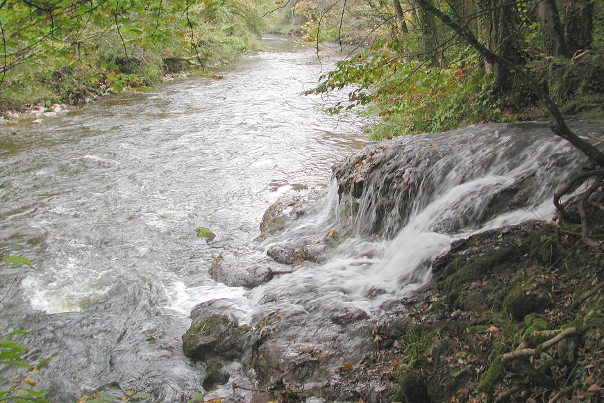 Blick auf einen von links kommenden, vom Betrachter wegführenden Bach. Im Bild rechts überspült ein niedriger Wasserfall kleine vorspringende Felsen, ehe er in den Bach mündet. Die Ufer sind von Bäumen und wild wuchernden Sträuchern gesäumt.