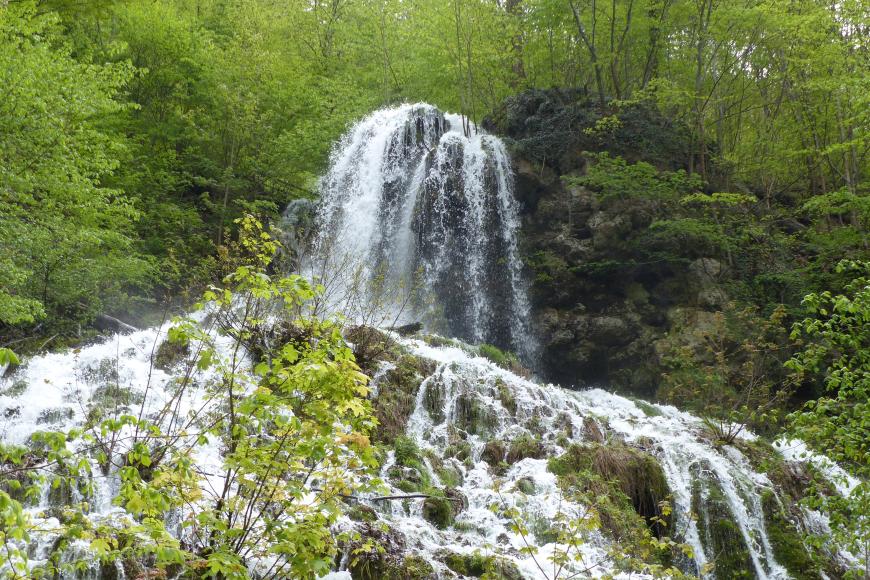 Blick auf einen hohen, kegelförmigen Wasserfall, der sich im Vordergrund bildfüllend verbreitert. Im Hintergrund rechts, neben dem Wasserfall, erhebt sich ein bewaldeter Felsenhang.