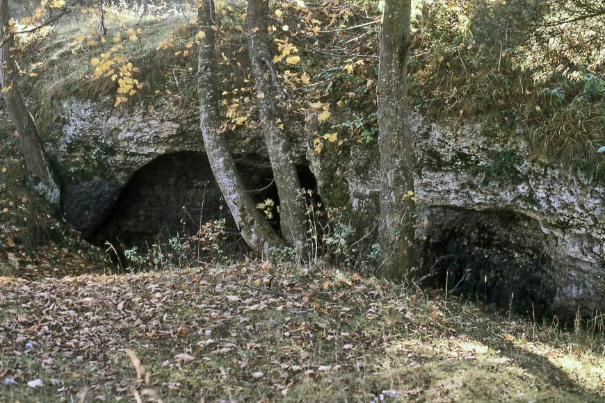 Die Sandballenhöhle östlich oberhalb von Albstadt-Truchtelfingen ist eine durch den Abbau von Dolomitsand entstandene Sekundärhöhle. Blick über eine belaubte Kuppe auf eine graue, oben bemooste Felsformation. Links und rechts einer Baumgruppe in der Bildmitte öffnen sich gebogene Höhleneingänge in der Gesteinswand.