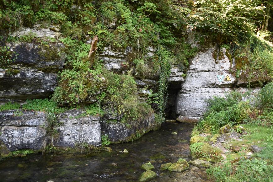 Unter einer stark bewachsenen, nach rechts abfallenden Böschung stehen graublaue Felsen an, in denen sich rechts eine kleinere Höhle gebildet hat. Ein schmaler Bach fließt daraus und über dunklem Grund auf den Betrachter zu.