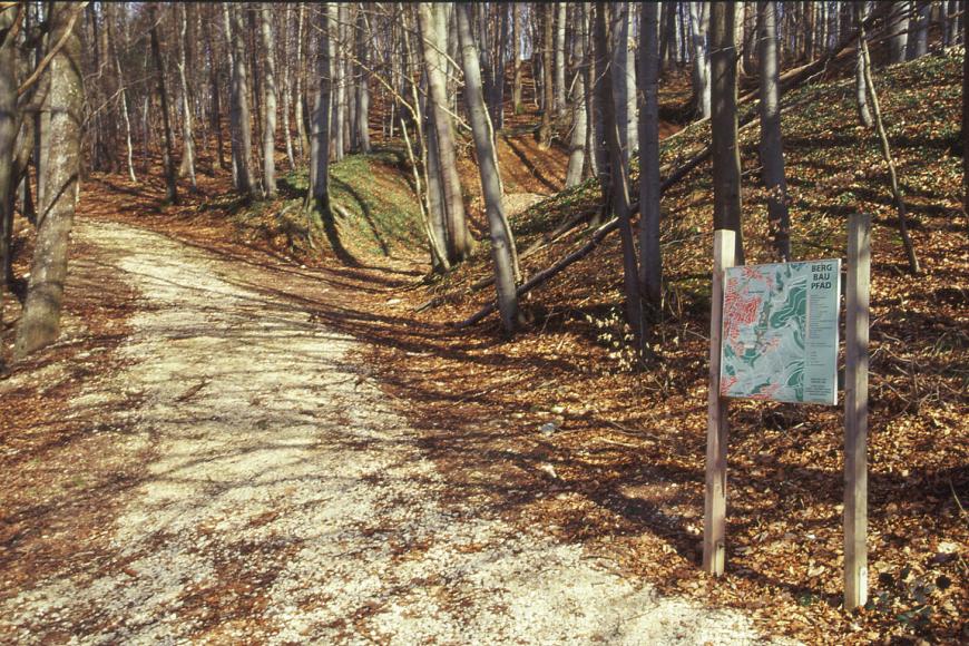 An einem nach rechts ansteigenden Waldhang führt ein Schotterweg entlang. Zum Hintergrund hin ist ein Böschungseinschnitt erkennbar. Rechts im Vordergrund steht eine Schautafel, die den Weg als Bergbaupfad ausweist.