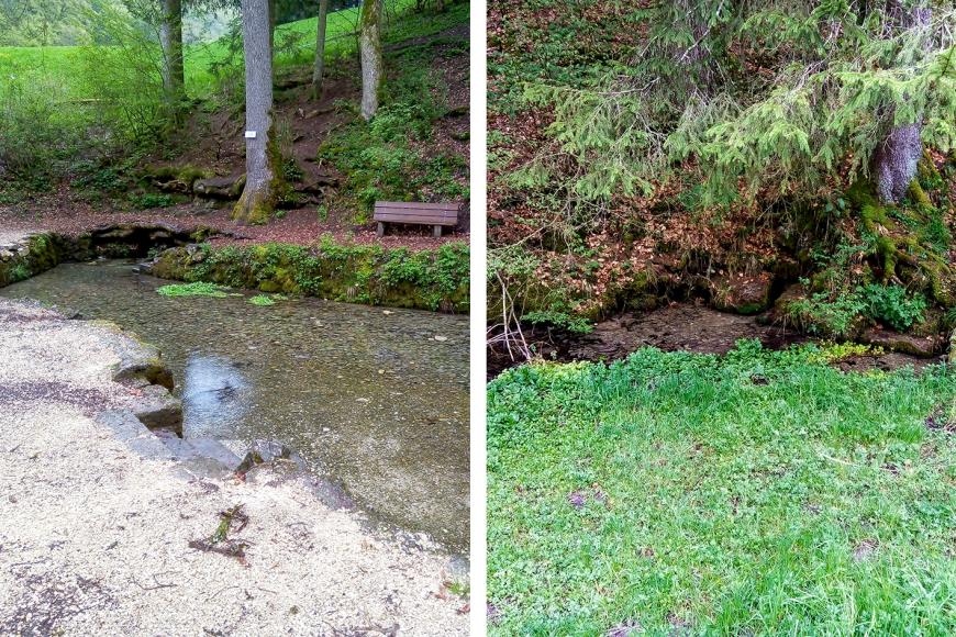 Am Filsursprung südwestlich von Wiesensteig treten die Große Filsquelle (links) und die Kleine Filsquelle (rechts) aus Zweiteiliges Bild, das zwei Quellen zeigt. Links ist eine größere Wasserfläche an einem Waldhang zu sehen, mit von Steinen eingefasstem Uferbereich. Rechts ist ein schmaler Wasserlauf erkennbar, zwischen Grasboden und Wald.