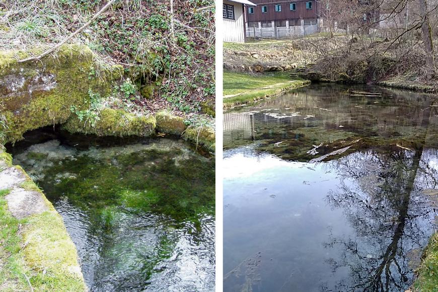 Quellaustritt und Quellsee der Großen Lauterquelle beim Gestütsmuseum Offenhausen westlich von Gomadingen Zweigeteiltes Bild, das links den Quellaustritt der Großen Lauterquelle zeigt und rechts einen größeren Bereich des Quellsees. Der Quellaustritt ist teils von niedrigen Steinmauern eingefasst. Beim See sind im Hintergrund Gebäude sichtbar.