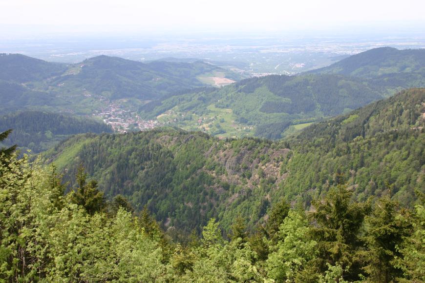 Blick von erhöhtem Standort auf einen bewaldeten Bergrücken, der nach rechts hin mit einem Knick ansteigt. Zwischen den Bäumen sind auch Felsen, in der Mitte zudem eine Schutthalde erkennbar. Dahinter liegen Täler, weitere Berge sowie eine weite Ebene. 