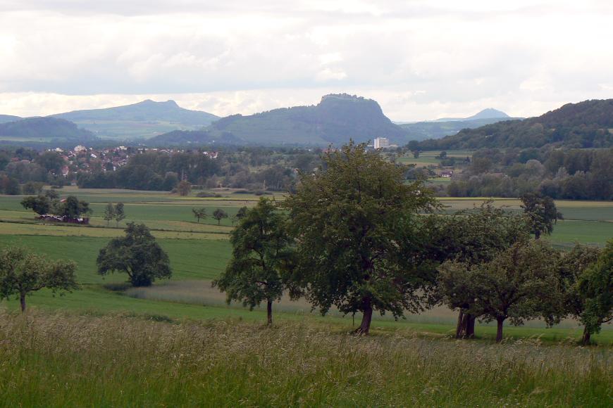 Blick über eine Wiese mit vereinzelten Bäumen auf Siedlungen und die Hegau-Vulkane.