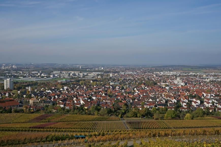 Zwischen flachen Rebhängen im Vordergrund und einem dunstigen Himmel breitet sich eine weite, stark besiedelte Ebene aus.