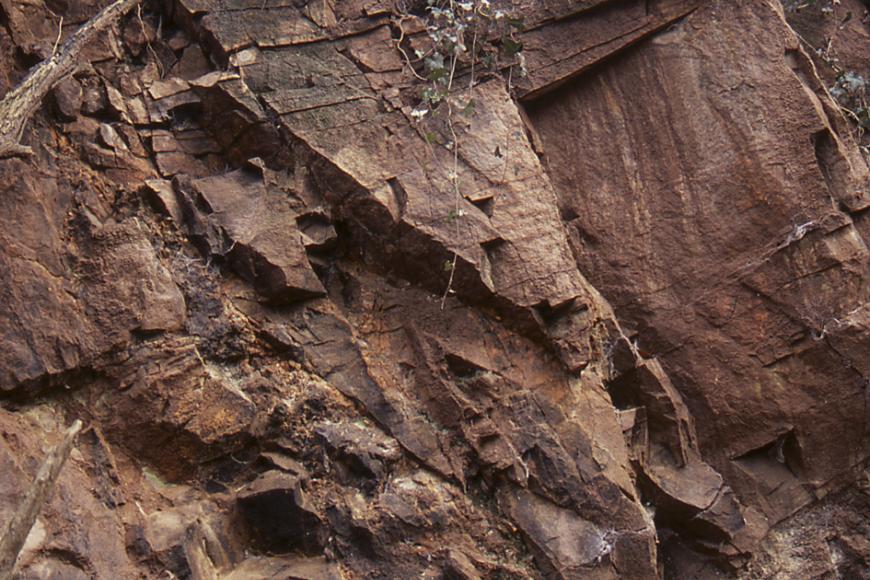 Blick auf eine rötlich graue, nach links geneigte Steinbruchwand. Das Gestein ist stark zerklüftet und auf der Kuppe bewachsen.