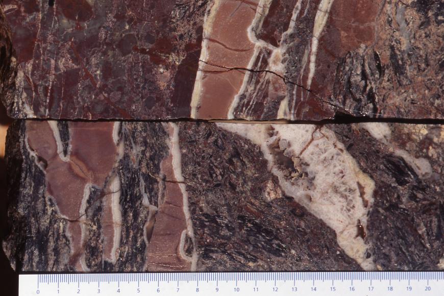 Querschnitt von zwei aufeinanderliegenden Gesteinsproben, die in Farbe und Maserung (violettgrau, rotbraun und weiß) einem Schwarzwälder Speck ähneln (Kruste, Fleisch- und Fettanteil).