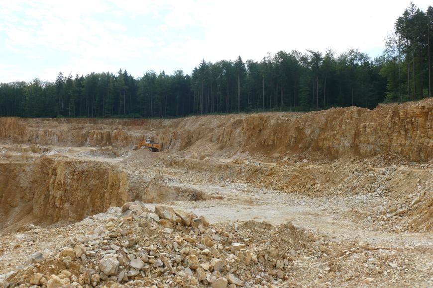 Der Betrachter befindet sich auf der Abbaustufe eines Steinbruchs, in welchem gelblich-beiges, gebanktes und geklüftetes Gestein abgebaut wird. Im Hintergrund befindet sich dunkler Wald.