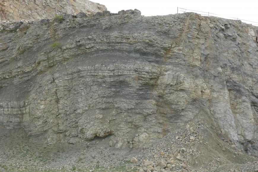 Blick auf eine graue Steinbruchwand. Im mittleren Teil ist ein bogenförmiger Verlauf der Schichtung erkennbar, hervorgehoben auch durch dunklere Streifen.