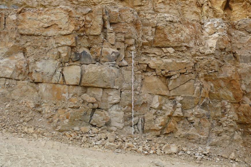 Nahaufnahme einer Steinbruchwand aus hellem, deutlich gebanktem und geklüftetem Kalkstein. Mittig vor der Wand befindet sich ein Maßstab.