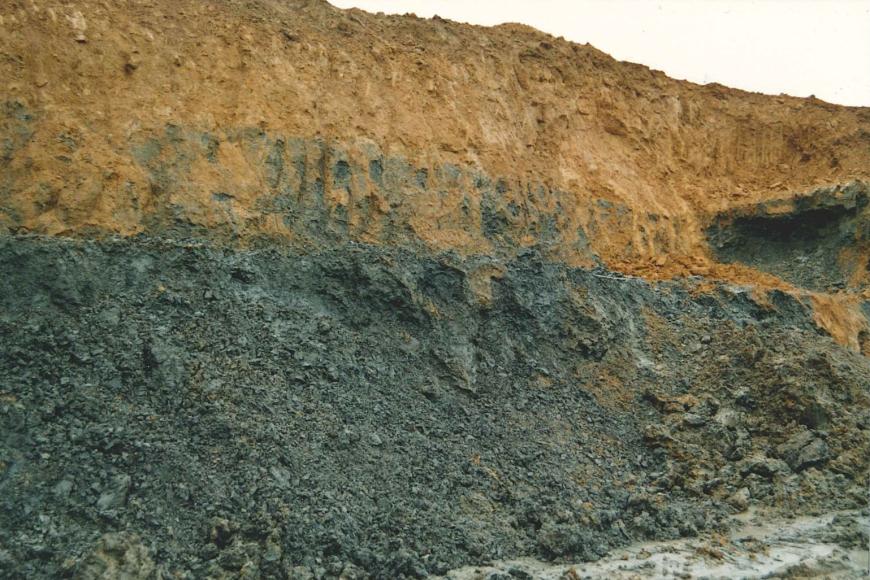 Braungelber Lösslehm über Renggeriton Blick auf eine Abbauwand in einer ehemaligen Tongrube. Die untere Hälfte der Wand besteht aus mittelgrauem Gestein, darüber befindet sich braungelbes Gestein.