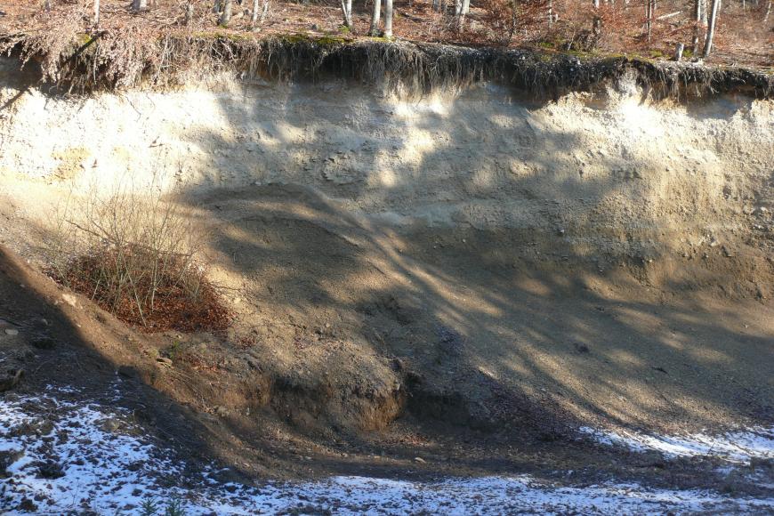 Das Bild zeigt die Abrisskante eines Waldhanges. Das abgerutschte, nach rechts geneigte Material hat eine gelblich braune bis braune Färbung. Unterhalb der Böschung liegt Schnee.