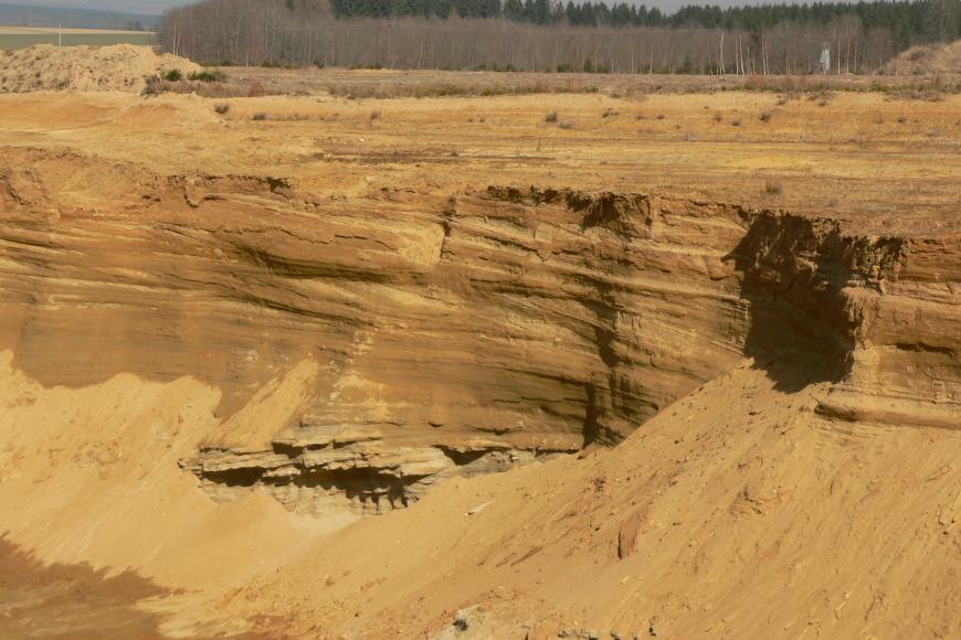 Das Bild zeigt die rötlich braune Abbauwand einer Sandgrube mit schräg verlaufender Schichtung. Am Fuß der Wand sowie rechts vorne sind abgerutsche Halden erkennbar. Im Hintergrund steht Wald an.