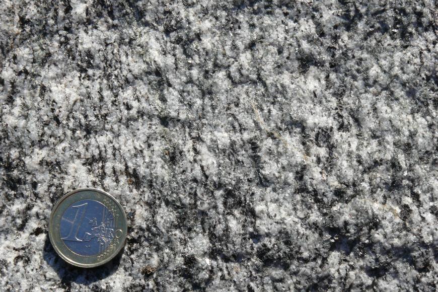 Nahaufnahme von weißem Gestein mit kristalliner Oberfläche und dunkler Marmorierung. Links unten dient eine Euro-Münze als Größenvergleich.