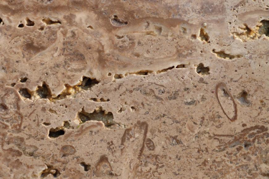 Nahaufnahme einer geschliffenen Gesteinsplatte. In die gelblich braune (unten) bis rötlich graue (oben) Oberfläche mischen sich dunklere Streifen, Maserungen und Lufteinschlüsse.