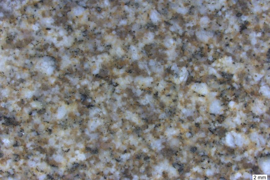 Leicht verschwommene Detailaufnahme eines Gesteins mit hellen Mineralen, grau-grünlichen Mineralen und rötlichen Mineralen. Die Minerale sind regellos. Rechts unten befindet sich ein Maßstab.