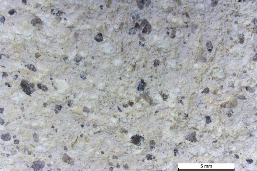 Detailaufnahme eines Gesteins mit hellgrauer Grundmasse, in welcher sich weiße und dunkelgraue Körner befinden. Rechts unten ist ein Maßstab.
