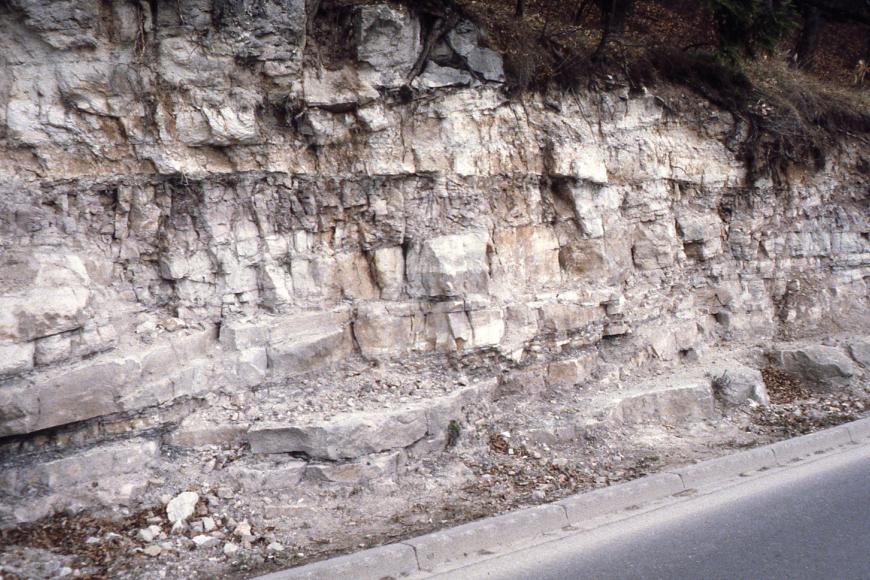 Blick auf einen Gesteinshang an einer Straße mit unterschiedlichen Gesteinsformen. Oben rechts ist eine Bewaldung des Hanges erkennbar.
