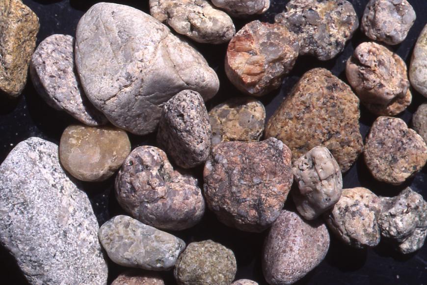 Nahaufnahme von größeren und kleineren Steinen, teils abgerundet, teils scharfkantig. Die Farben reichen von hellem Grau bis zu Brauntönen. 