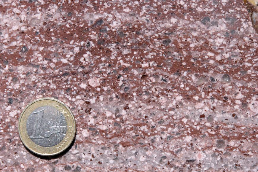 Nahaufnahme einer gesägten Gesteinsoberfläche. Wellenförmiges Muster in rotbraun/hellgrau, mit dunkleren Einschlüssen. Eine Euro-Münze links unten dient als Größenvergleich.