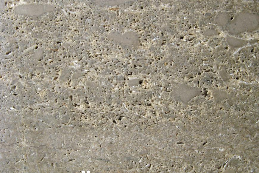 Nahaufnahme einer gelblich grauen Gesteinsoberfläche mit schaumig-poröser Struktur. Mittig unten dient eine Cent-Münze als Größenvergleich.