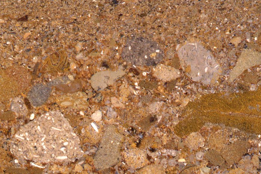 Nahaufnahme einer Gesteinsoberfläche; oben feinkörnig und rötlich grau, unten gelblich mit zahlreichen größeren Einschlüssen in unterschiedlichen Farben.