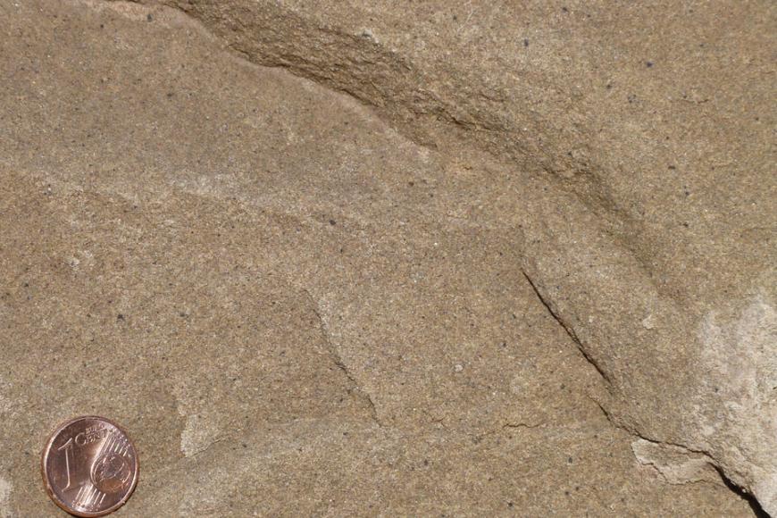Nahaufnahme einer Gesteinsoberfläche mit flachen Erhebungen, Farbe hellbraun mit feinen dunklen Sprenkeln. Links dient eine aufgelegte Cent-Münze als Größenvergleich.