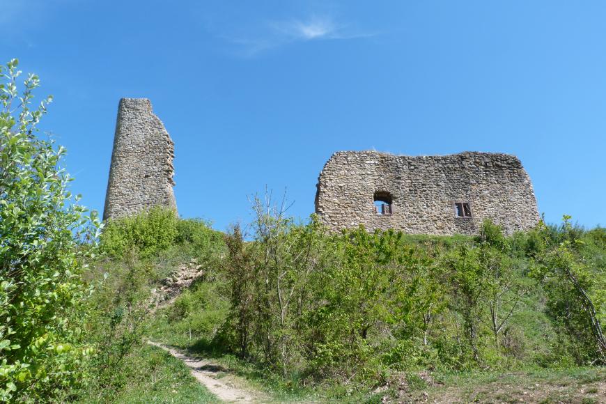 In der Bildmitte ist die Ruine einer Burg zu sehen, davor wachsen kleine Bäume und Büsche.