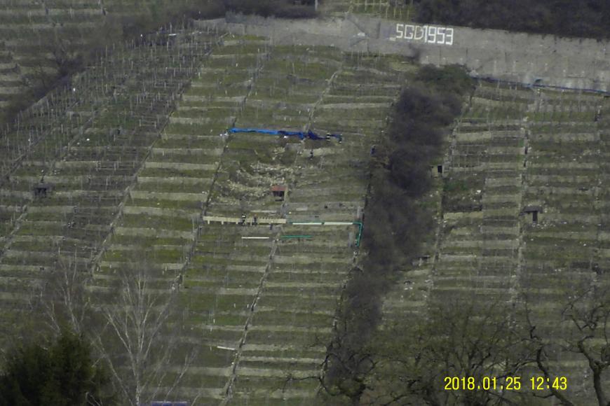 Blick aus großer Höhe auf einen terrassierten Weinberg. In der Bildmitte ist ein rechteckiger Rutschbereich neben einem Gehölzstreifen zu erkennen. Erste Sicherungsmaßnahmen sind eingeleitet.