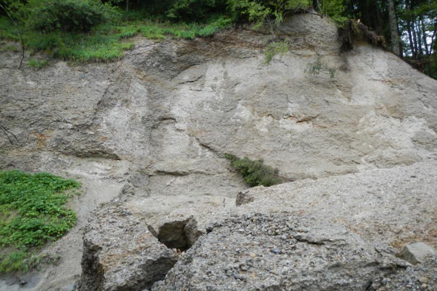 Zu sehen ist eine Felswand aus hellgrauem bis hellbraunem Gestein. Oberhalb ist der Felsen mit Gräsern und Bäumen bewachsen. Unterhalb liegt im Vordergrund ein großer Felsblock.