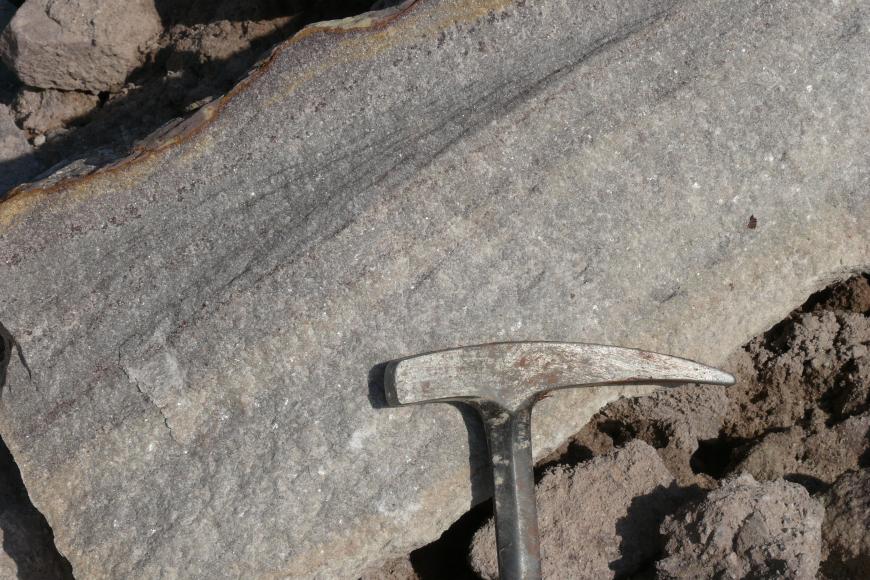 Nahaufnahme einer schräg liegenden, hellgrauen Gesteinsplatte. Links oben ist die Kante wellenförmig gerundet. Rechts zeigt der Kopf eines Hammers die Größe an.