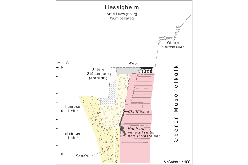 Geologischer Schnitt durch Probegrube Farbige Schnittzeichnung einer Probegrube im Wurmbergweg bei Hessigheim. Gezeigt wird die geologische Situation unterhalb einer Stützmauer zwischen Oberem Muschelkalk rechts und steinigem Lehm links.