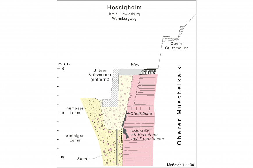 Farbige Schnittzeichnung einer Probegrube im Wurmbergweg bei Hessigheim. Gezeigt wird die geologische Situation unterhalb einer Stützmauer zwischen Oberem Muschelkalk rechts und steinigem Lehm links.