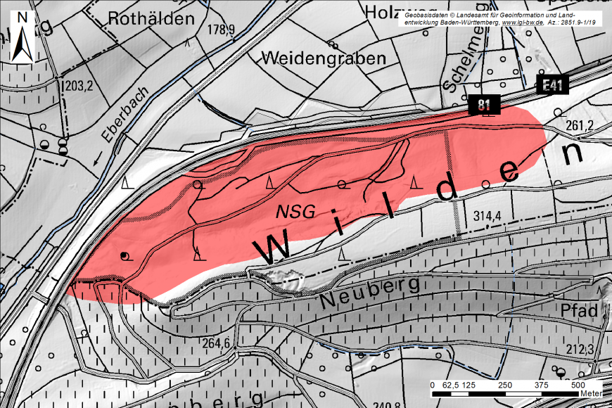 Teilansicht einer Karte mit digital modellierter Landschaft in Grautönen sowie rot eingefärbtem Bereich einer Hangrutschung.
