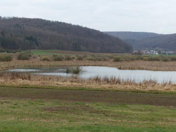 Der Schmiecher See südöstlich von Schelklingen-Schmiechen Blick auf eine schmale, längliche graue Wasserfläche, die von einem Schilfgürtel umgeben ist. Dahinter folgen Gebüsch, Wiesen, Äcker und bewaldete Berge. Im Vordergrund flache braune Äcker und Wiesen.