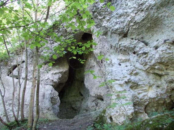 Felsgruppe Salzbühl und Höhle ca. 2000 m nordöstlich der Ortsmitte von Bernstadt Blick auf einen schmalen, sich senkrecht öffnenden Felsspalt an einem nach links abfallenden Hang. Das Gestein um die Öffnung ist weißlich grau und zeigt weitere Spalten sowie kleine Löcher. Links vor dem Höhleneingang stehen dünne Bäume.