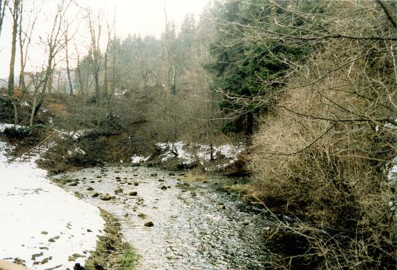 Ursprung des Schwarzen Kochers südlich von Oberkochen Blick auf einen von links kommenden und im Bogen auf den Betrachter zulaufenden Fluss. Das flache Ufer links sowie Teile des mit Sträuchern und Bäumen bewachsenen Ufers hinten und rechts sind verschneit.