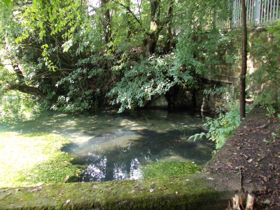 Pfeffer-Ursprung, Königsbronn Blick über die Brüstung einer nach links abknickenden Steinmauer auf eine Wasserfläche. Das Wasser ist links von einem Pflanzenteppich bedeckt, rechts endet es an der Mauer. Das hintere Ufer ist mit Bäumen und Sträuchern bewachsen.