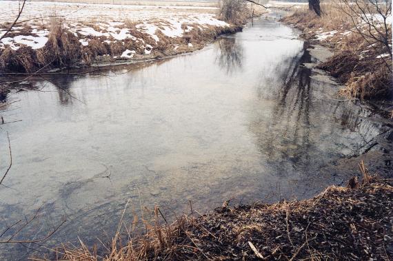 Gallengehrenquelle südlich von Dischingen Blick auf einen schmalen, im Vordergrund breiter werden Wasserlauf. Die flachen Ufer links und rechts sind teils mit Schnee bedeckt.