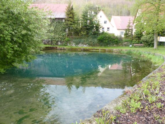 Lone-Ursprung in Urspring Blick auf eine größere Wasserfläche, die rechts und im Hintergrund von niedrigen Steinmauern begrenzt ist. Das flache, gerundete Becken befindet sich in einem Wohngebiet.