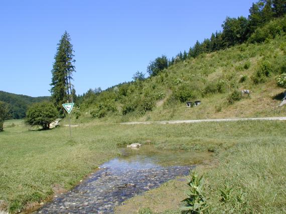 Hungerbrunnenquelle (Hungerbrunnental westlich von Gerstetten-Heuchlingen, Lkr. Heidenheim) Blick auf eine kleine, teichartige Quelle inmitten einer grünen Wiese. Die Quelle, die zum Vordergrund hin als Bach weiterfließt, ist durch einen Fahrweg von einem bewaldeten, nach rechts ansteigenden Hügel abgegrenzt.