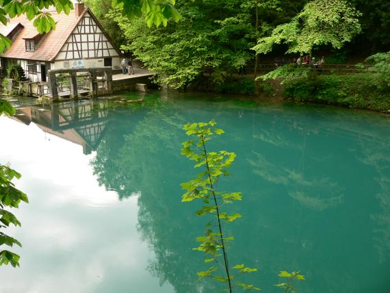 Der Blautopf im Ortsbereich von Blaubeuren Das Bild zeigt eine größere, rechts türkisblaue Wasserfläche. An ihrem Ufer steht links oben eine Wassermühle. Rechts führt ein von Bäumen überdachter Wanderweg am Wasser entlang.