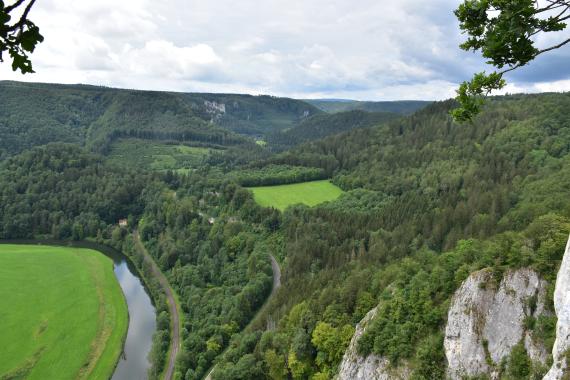 Vom Eichfelsen blickt man donauaufwärts nach Südwesten zum Petersfelsen bei Beuron. Blick aus großer Höhe über bewaldete, sich weit ausdehnende Berghänge. Links unten verläuft im Bogen die Donau, rechts vorne steigen Felskronen auf. Auch im Hintergrund, an einem der Waldhänge, sind Felsen erkennbar.