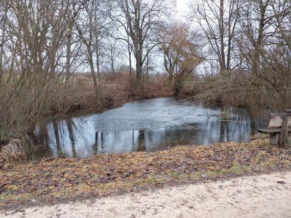 Die Hüle von Frankenhofen Blick auf einen Teich oder Hüle mit flachem Ufer im Vordergrund. Die hinteren, dreieckig zulaufenden Ufer sind mit Bäumen und Büschen bewachsen.