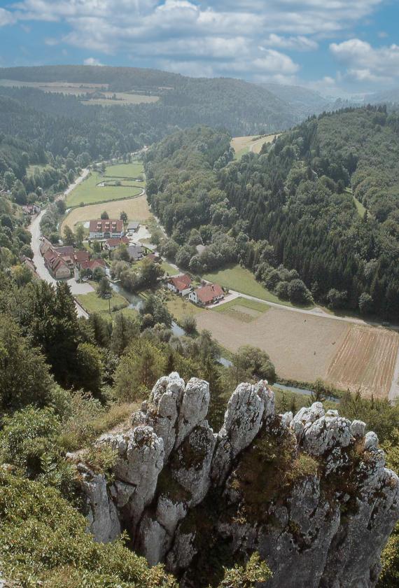 Großes Lautertal bei Münsingen-Wittstaig mit mäandrierendem Gewässerlauf Blick aus großer Höhe auf ein von bewaldeten Bergen umschlossenes, im Bogen verlaufendes Flusstal. Im Vordergrund ragen bleiche Felsspitzen in die Höhe.
