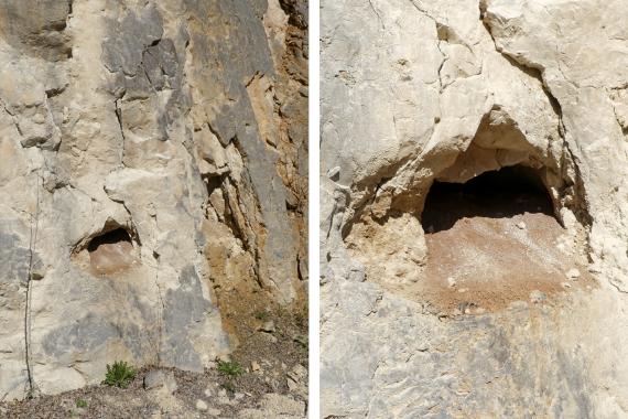 Lösungshohlraum in der Liegende-Bankkalke-Formation, Schotterwerk Martin Baur, Sigmaringen-Jungnau
